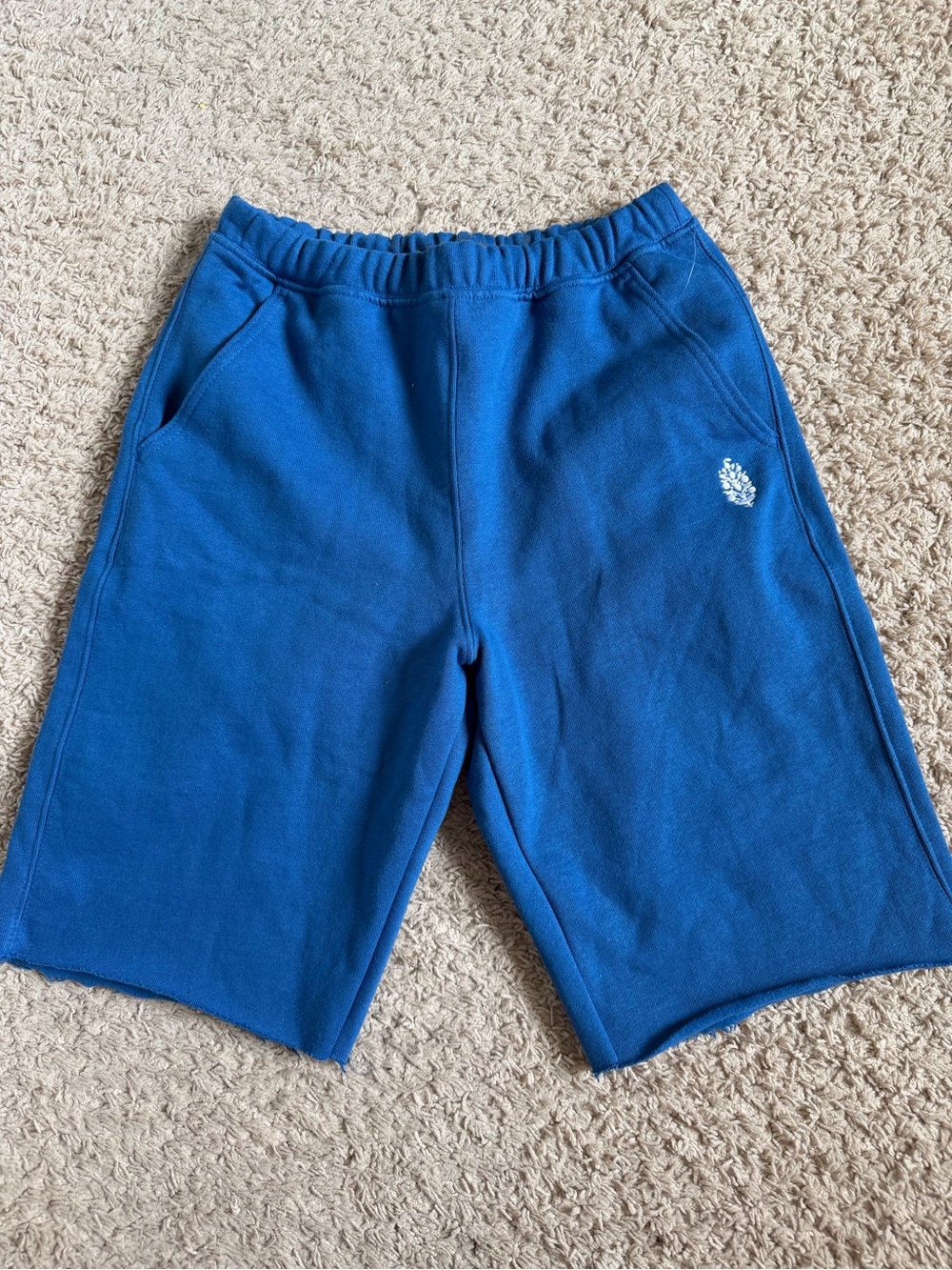 Free people movement sweat shorts